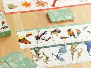 JUEGO DE 7 FAMILIAS Especies